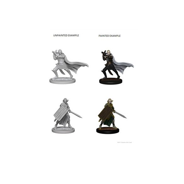 Pathfinder Deep Cuts Unpainted Miniatures - Elf Male Paladin-WZK72608