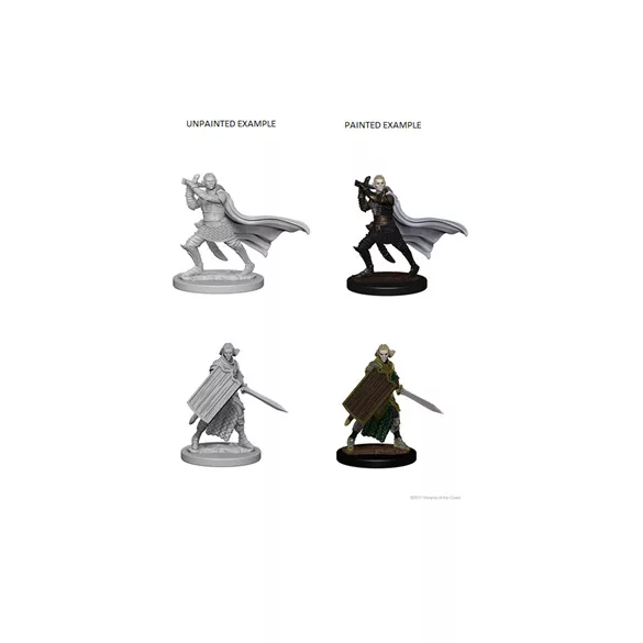 Pathfinder Battles Deep Cuts: Elf Male Paladin-72608