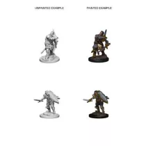 D&D Nolzur’s Marvelous Miniatures: Human Male Paladin-72629