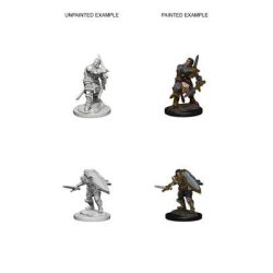 D&D Nolzur’s Marvelous Miniatures: Human Male Paladin - EN-WZK72629