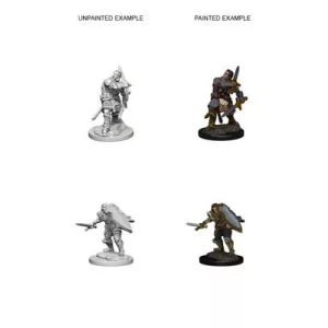 D&D Nolzur’s Marvelous Miniatures: Human Male Paladin-72629