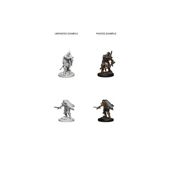 D&D Nolzur’s Marvelous Miniatures: Human Male Paladin - EN-WZK72629