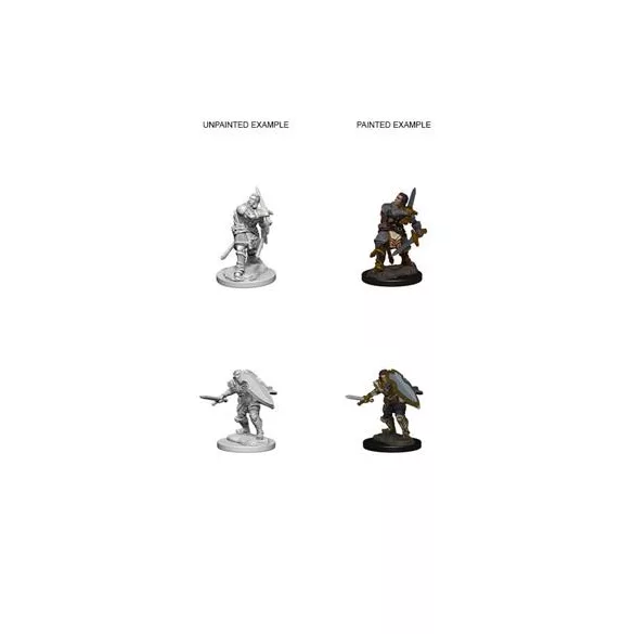 D&D Nolzur’s Marvelous Miniatures: Human Male Paladin-72629