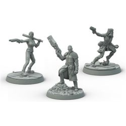 Fallout: Wasteland Warfare - Survivors Boston Companions - EN-MUH051260
