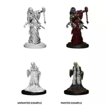D&D Nolzur’s Marvelous Miniatures: Green Hag & Night Hag-73402