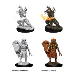 D&D Nolzur's Marvelous Miniatures: Male Human Druid-WZK73390