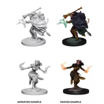 D&D Nolzur’s Marvelous Miniatures: Female Tiefling Warlock-73389