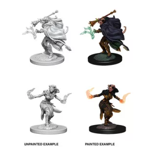 D&D Nolzur’s Marvelous Miniatures: Female Tiefling Warlock-73389