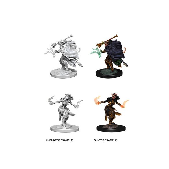 D&D Nolzur's Marvelous Miniatures: Female Tiefling Warlock-WZK73389
