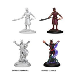 D&D Nolzur's Marvelous Miniatures: Male Tiefling Warlock-WZK73388
