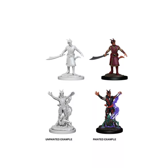D&D Nolzur’s Marvelous Miniatures: Male Tiefling Warlock-73388