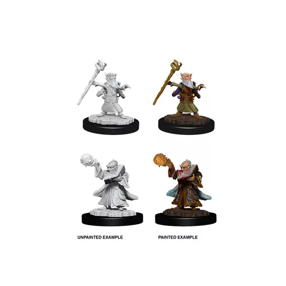 D&D Nolzur’s Marvelous Miniatures: Male Gnome Wizard-73382