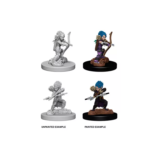 Pathfinder Battles Deep Cuts: Female Gnome Rogue-73408