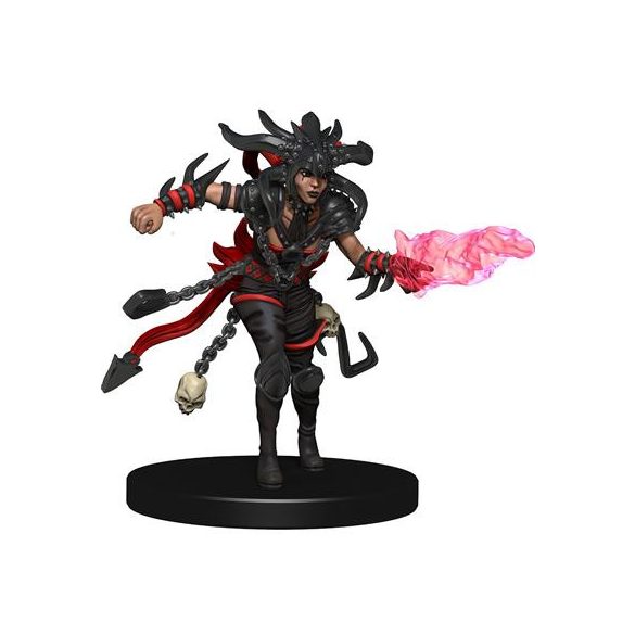 D&D Icons of the Realms: Set 10 Companion Starter Two - EN-WZK73116