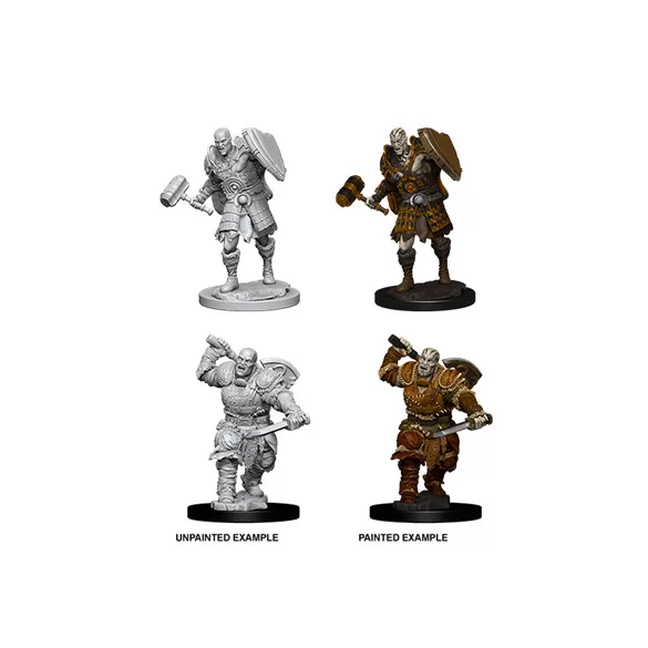 D&D Nolzur’s Marvelous Miniatures: Male Goliath Fighter-73541