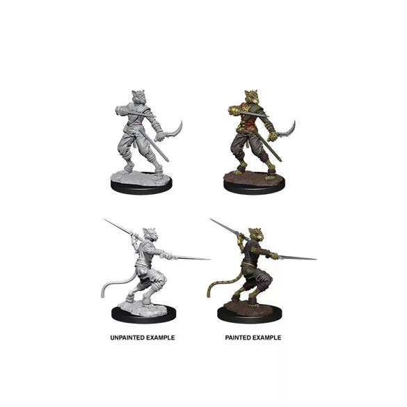 D&D Nolzur’s Marvelous Miniatures: Male Tabaxi Rogue-73540