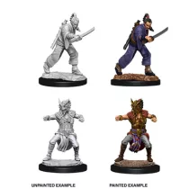 D&D Nolzur's Marvelous Miniatures - Male Human Monk-73670