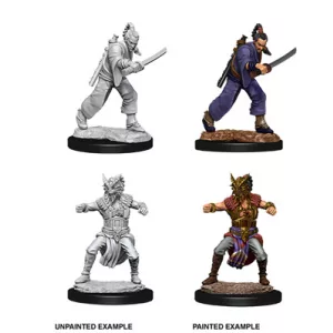 D&D Nolzur's Marvelous Miniatures - Male Human Monk-73670