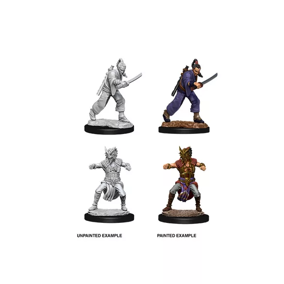 D&D Nolzur's Marvelous Miniatures - Male Human Monk-73670