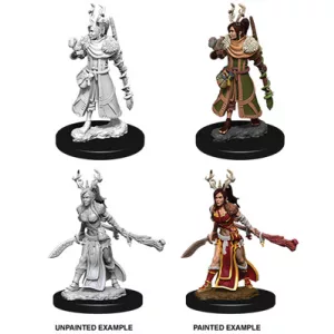 D&D Nolzur’s Marvelous Miniatures: Female Human Druid-73701