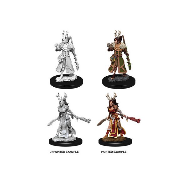 D&D Nolzur's Marvelous Miniatures - Female Human Druid-WZK73701
