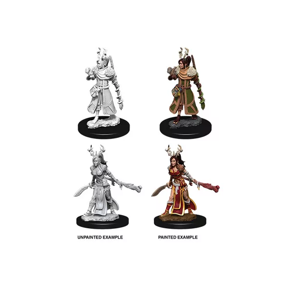 D&D Nolzur’s Marvelous Miniatures: Female Human Druid-73701