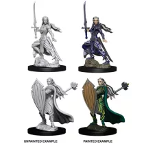 D&D Nolzur’s Marvelous Miniatures: Female Elf Paladin-73706