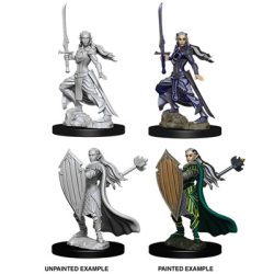 D&D Nolzur's Marvelous Miniatures - Female Elf Paladin-WZK73706