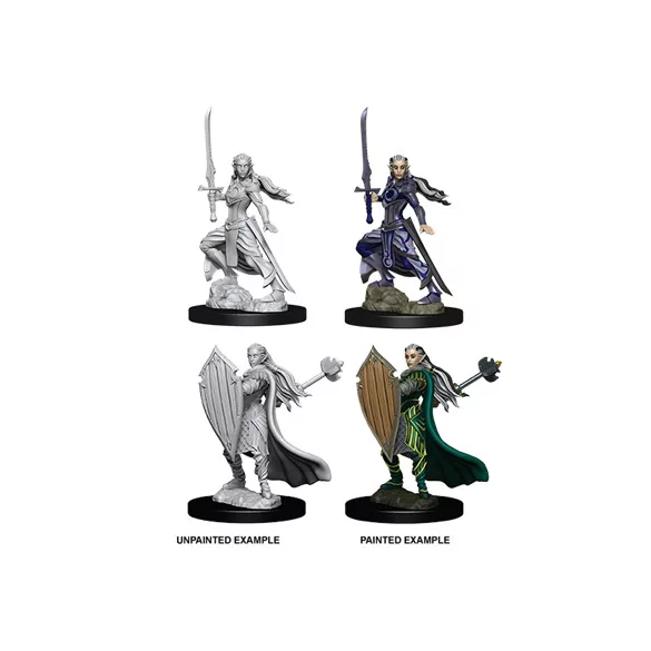 D&D Nolzur’s Marvelous Miniatures: Female Elf Paladin-73706
