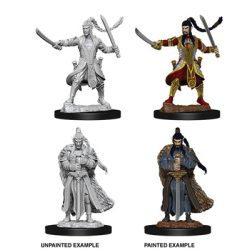 D&D Nolzur's Marvelous Miniatures - Male Elf Paladin-WZK73707