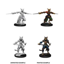 D&D Nolzur's Marvelous Miniatures - Female Tabaxi Rogue-WZK73708