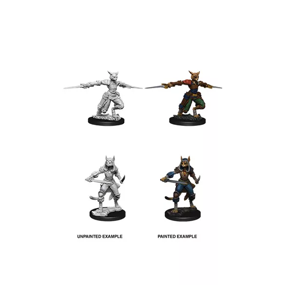 D&D Nolzur’s Marvelous Miniatures: Female Tabaxi Rogue-73708