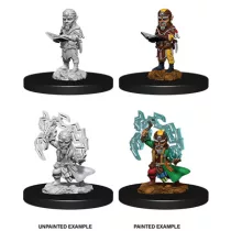 Pathfinder Battles Deep Cuts: Male Gnome Sorcerer-73722