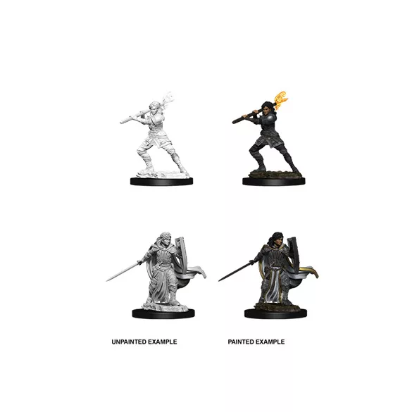 D&D Nolzur’s Marvelous Miniatures: Female Human Paladin-73830