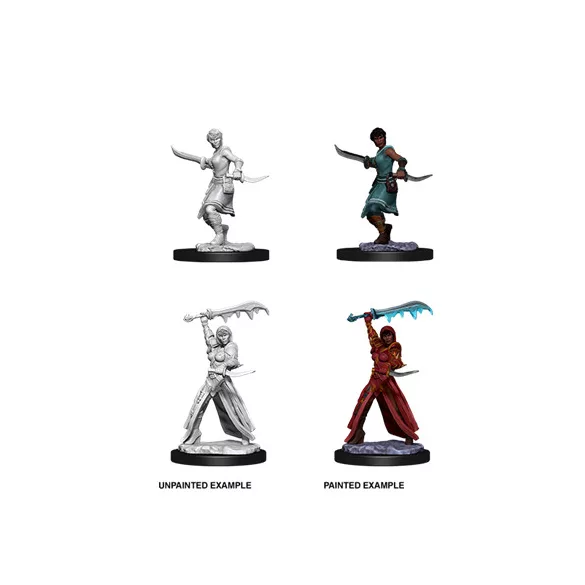 D&D Nolzur’s Marvelous Miniatures: Female Human Rogue-73831