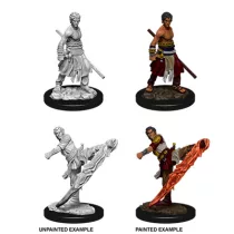 D&D Nolzur’s Marvelous Miniatures: Male Half-Elf Monk-73838