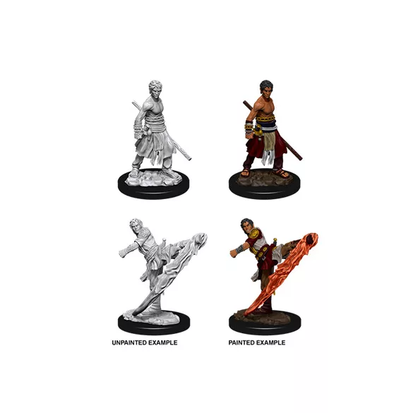 D&D Nolzur’s Marvelous Miniatures: Male Half-Elf Monk-73838
