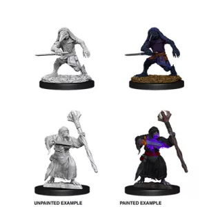 D&D Nolzur’s Marvelous Miniatures: Kenku Adventures-73840