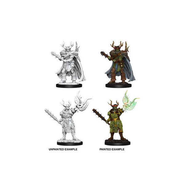 Pathfinder Battles Deep Cuts - Male Half-Orc Druid-WZK73853