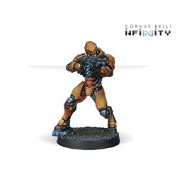 Infinity: Zúyong Invincibles, Terracotta Soldiers (HMG) - EN-280370-0482