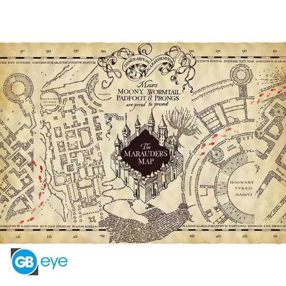 Harry Potter - Marauder's Map-NN7888