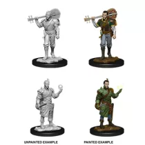 D&D Nolzur's Marvelous Miniatures: Male Half-Elf Bard-90055