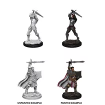 D&D Nolzur's Marvelous Miniatures: Male Human Paladin-90060