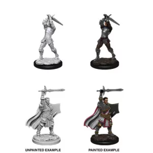 D&D Nolzur's Marvelous Miniatures: Male Human Paladin-90060