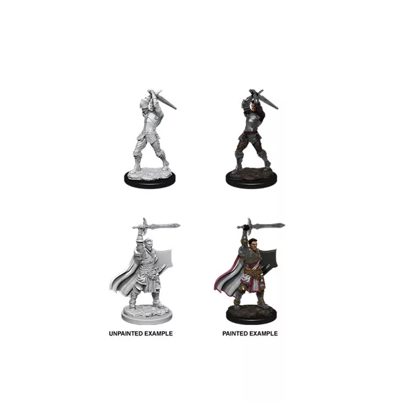 D&D Nolzur's Marvelous Miniatures: Male Human Paladin-90060