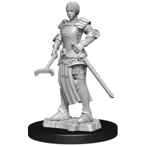 Wizkids Deep Cuts Unpainted Miniatures: Towns People: Castle - Castle 2-90121