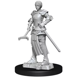 Wizkids Deep Cuts Unpainted Miniatures: Towns People: Castle - Castle 2-90121