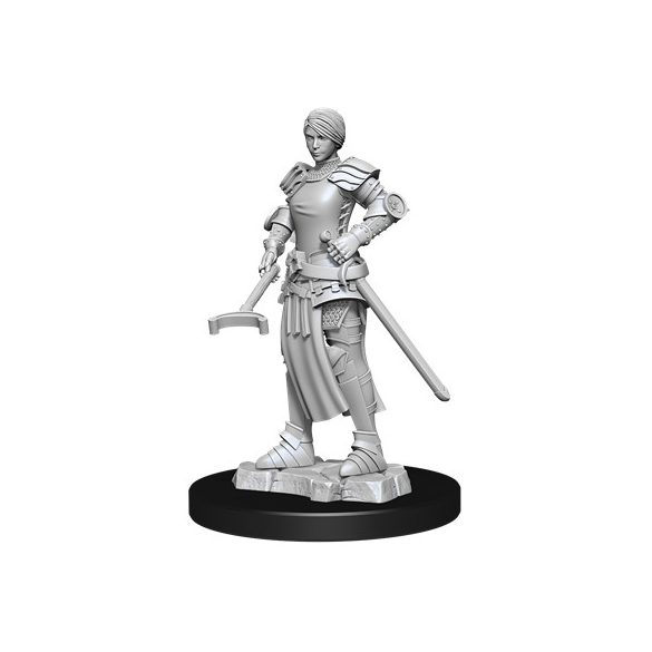 WizKids Deep Cuts Unpainted Miniatures - Towns People: Castle II-WZK90121