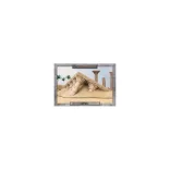 Battlefield In A Box - Forgotten City - Lost Temple-BB901