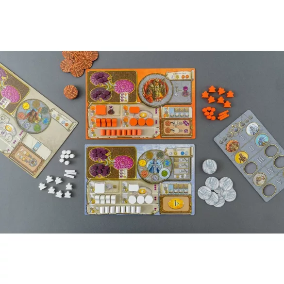 Terra Mystica: Fire & Ice - EN/FR-ZM7242